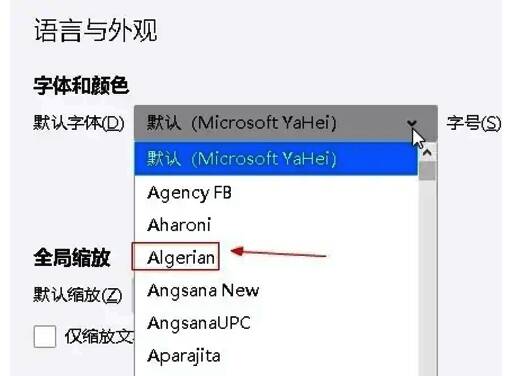 语言与外观部分字体和大小选项界面
