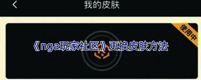 nga玩家社区换肤相关界面示例图1