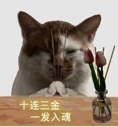 游戏抽卡界面图