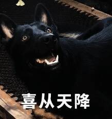 支援舰加强内容展示图