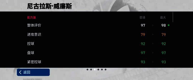 威廉斯赛场图片3