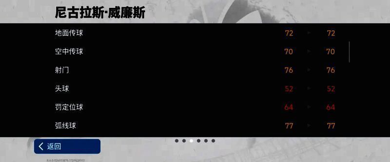 威廉斯赛场图片4