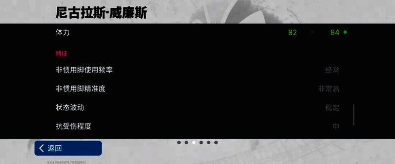 威廉斯赛场图片7