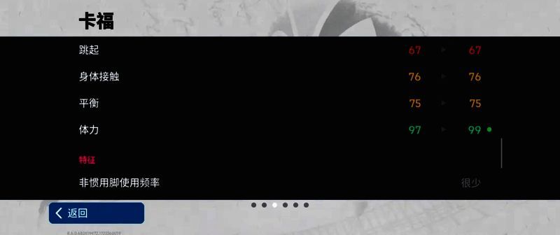 卡福比赛英姿图7