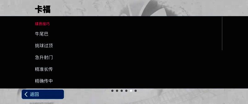 卡福比赛英姿图10