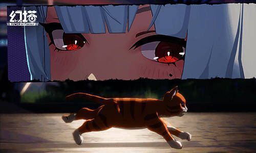 克劳迪娅街角喂猫图片