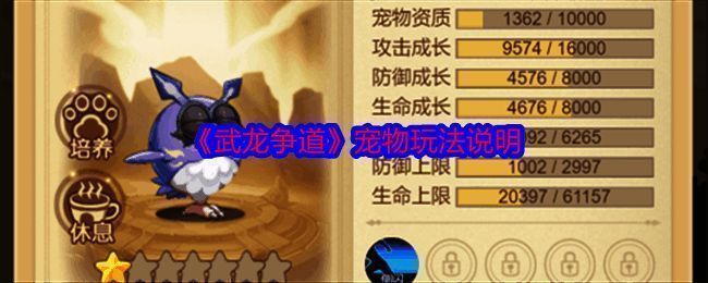 武龙争道宠物图片1