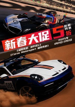Forza新春促销相关图片