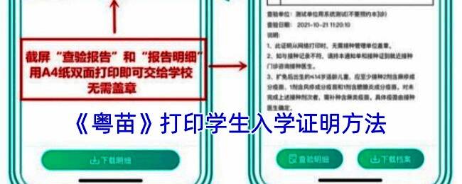 粤苗生成入学预防接种证明界面示例