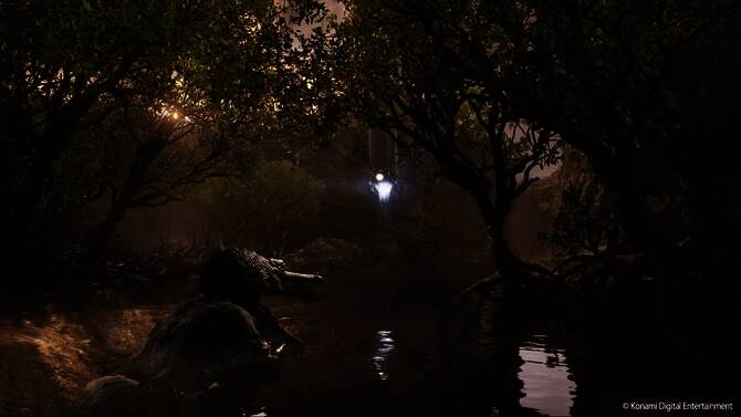 T.K.相关展示图1