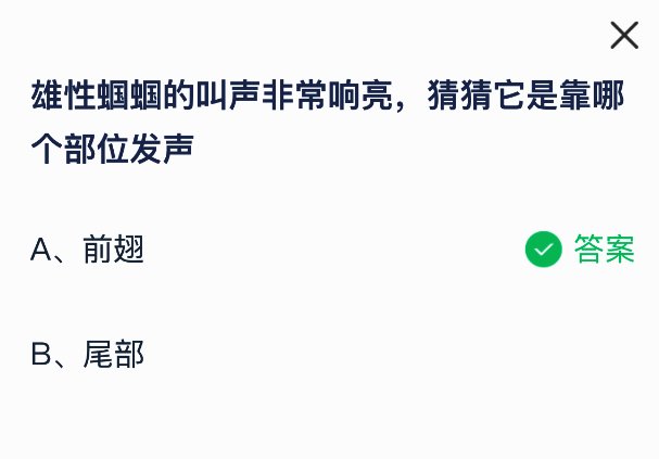 雄蝈蝈前翅结构相关图片
