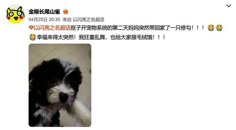 推文相关图片21