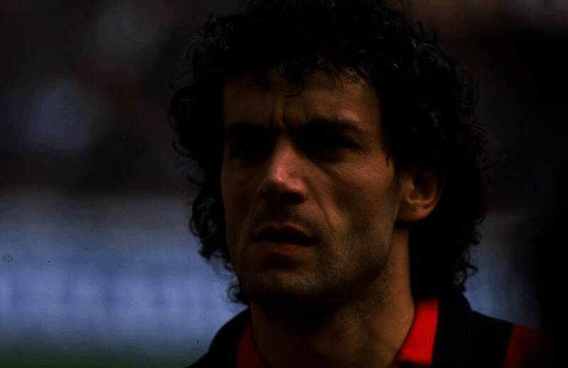 多纳多尼风采图片