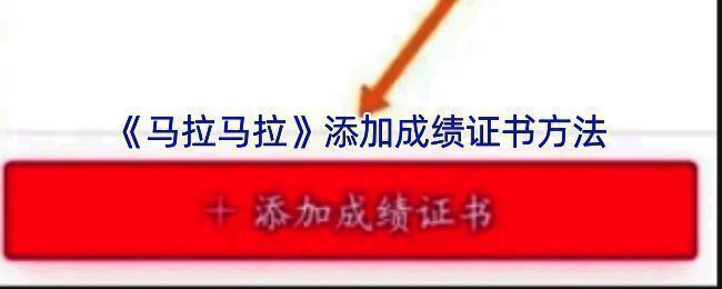 马拉马拉APP相关界面图片