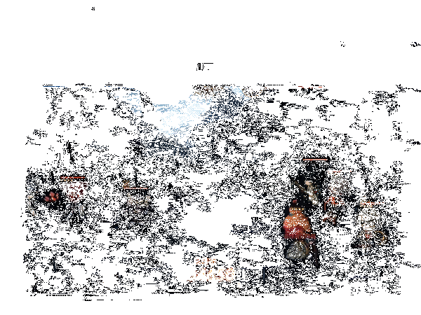 哮天犬灵能技能动画