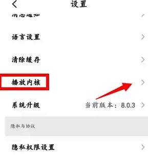 知鸟APP播放内核选项