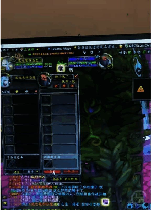 陈先生果园橙子图片