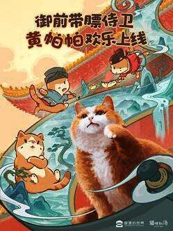 小奶猫云游故宫寄回的打卡照片画面