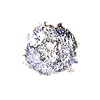 神启荒限定动态头像和头像框