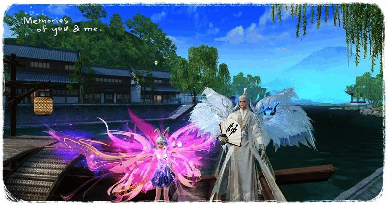 情侣猫玖和鱼柒相关图片