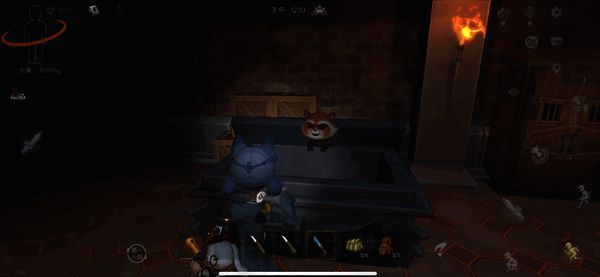 小熊猫在棺材里的画面