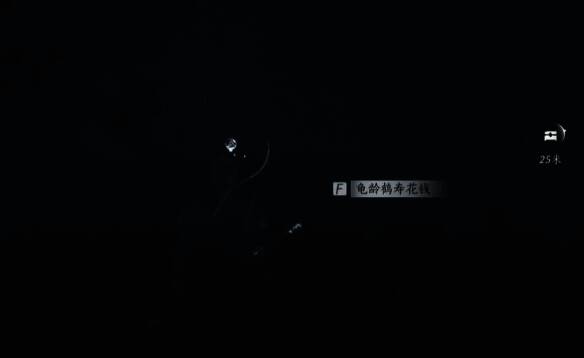 龟龄鹤寿花钱在瀑布内具体位置图