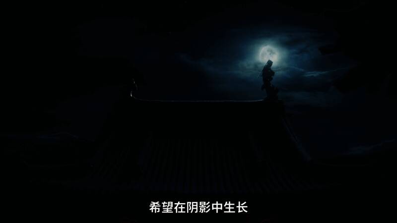 《刺客信条：影》视频画面图5