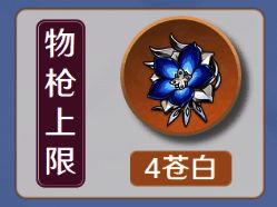 苍白之火圣遗物图片