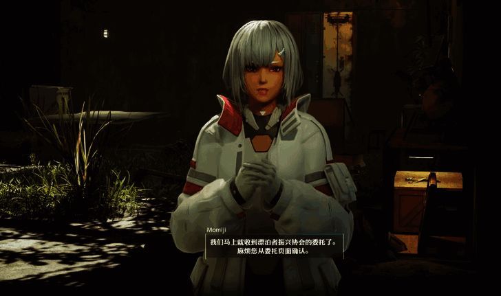 《奇异贤伴：爱达之歌》物品相关图片