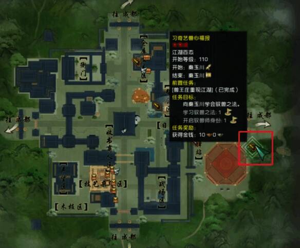 在成都抓大公鸡的画面