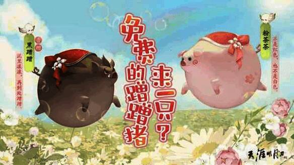 天刀手游春季资料片赛猪比赛图