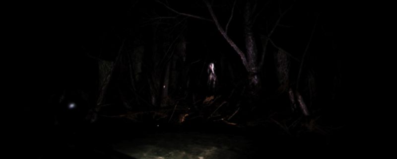 寻踪溺亡湖相关图片1