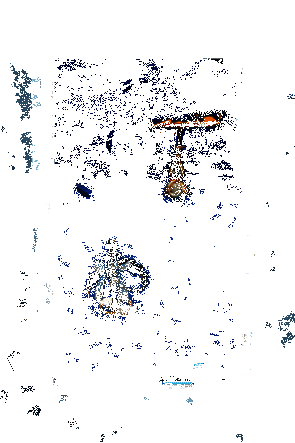 蝎女皮肤动态展示3