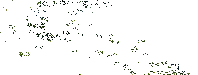 铃兰之剑游戏地牢场景动态图