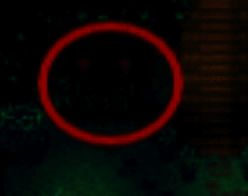 星露谷物语姜岛雷欧家左侧祭坛图