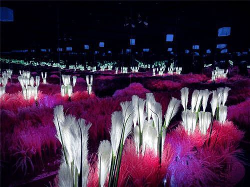 裸眼3D空间中的魔法列车场景