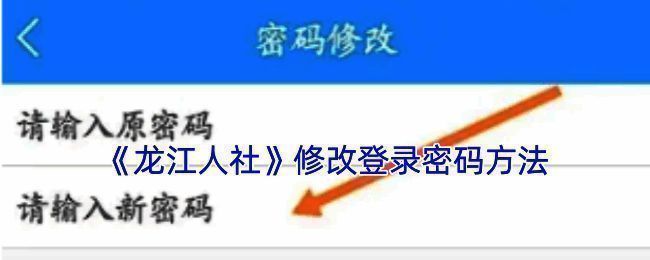 龙江人社密码修改流程相关界面示例1