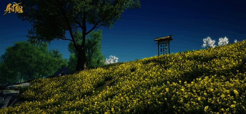 《射雕》游戏与NPC互动画面