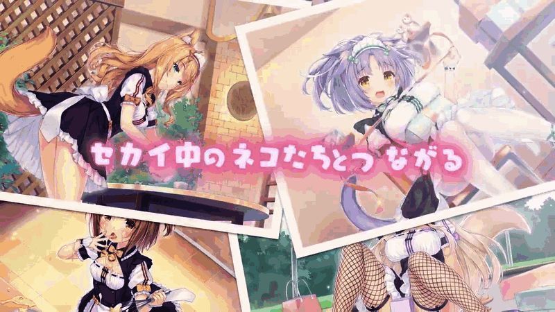 《巧克力与香子兰 链接世界》视频截图10