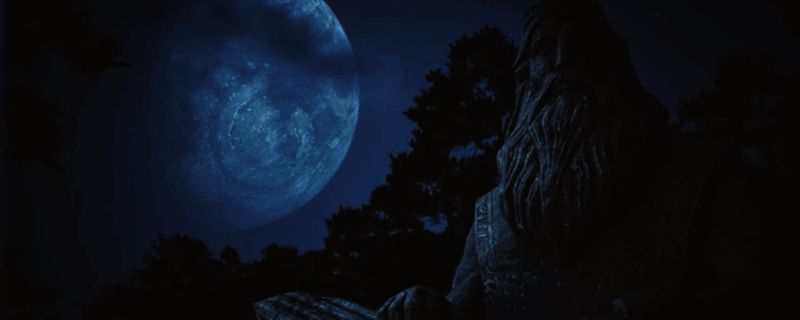 《黑森林迷踪》相关图片1