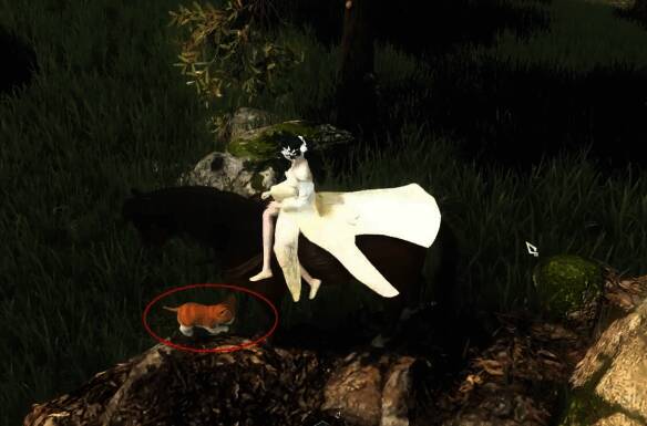 在猫咪附近布置笼子和小鱼干画面