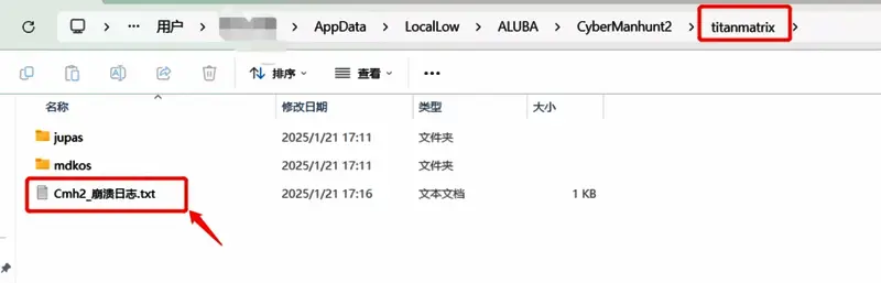 崩溃日志文件打开界面图片