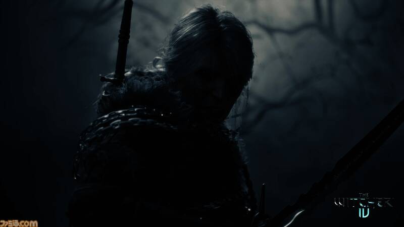 《巫师4》相关图片2