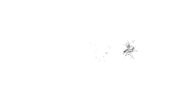 体术攻击技能展示动图