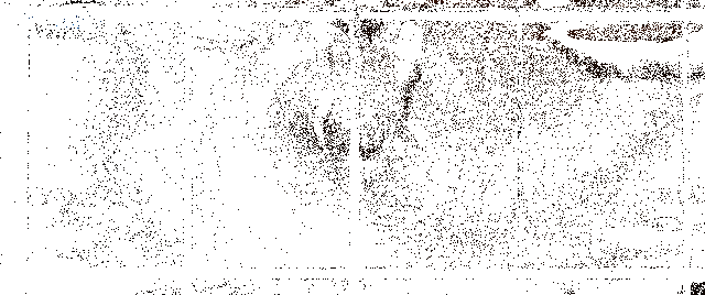 新时装相关动态展示图1