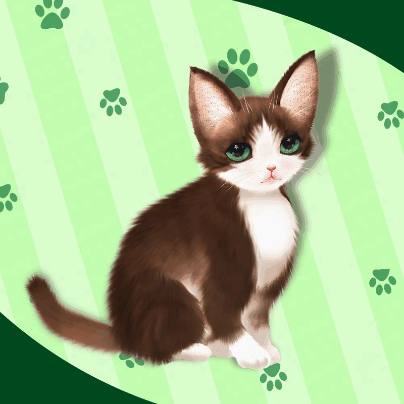 长毛金渐层猫咪图片