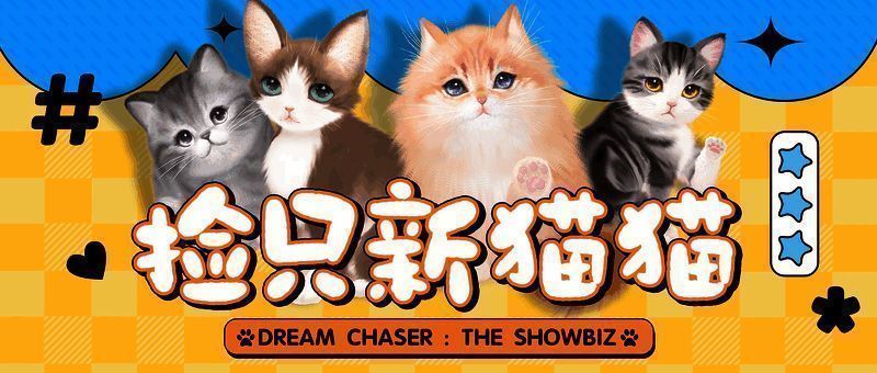 巧克力德文猫猫咪图片