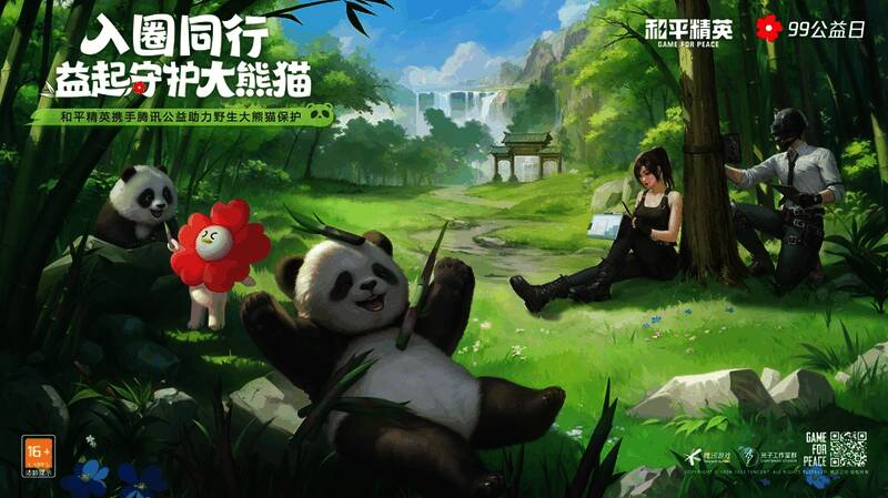 和平精英与腾讯公益大熊猫保护活动相关图片
