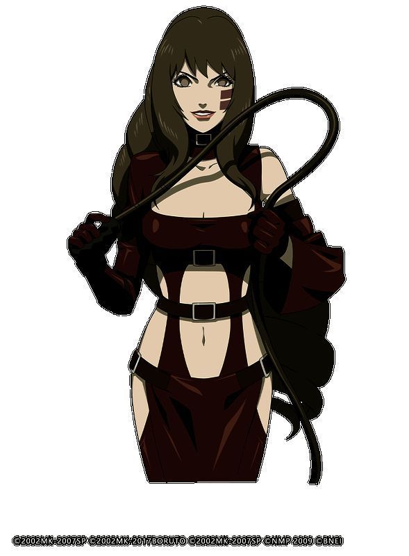 贰「火之意志继承者」形象图