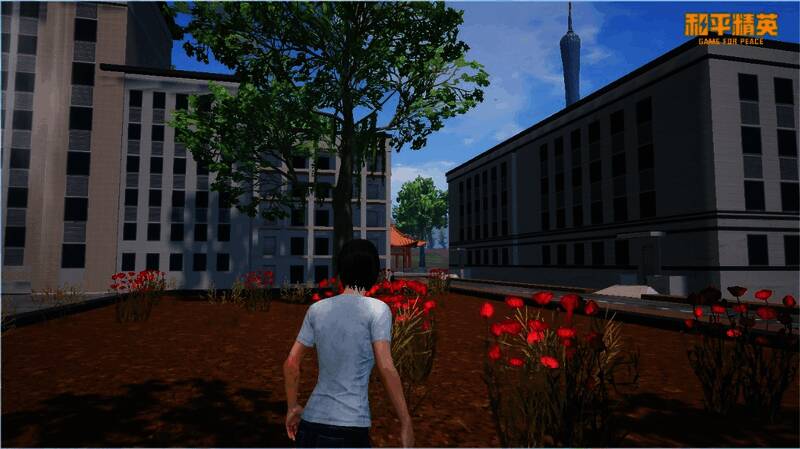 华科大校园花海场景